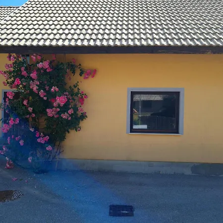 Appartement Apartma Nina