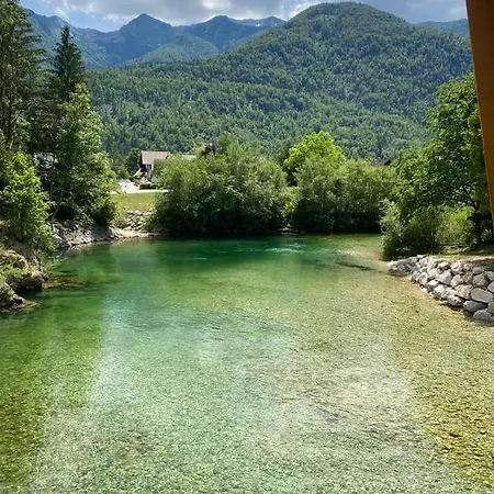 Apartma Nina דירה בוהין