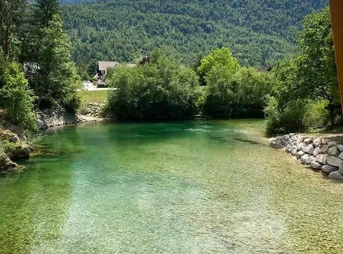 Apartma Nina 公寓 博希尼